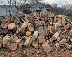 Спрос на дрова в современном мире еще актуален?